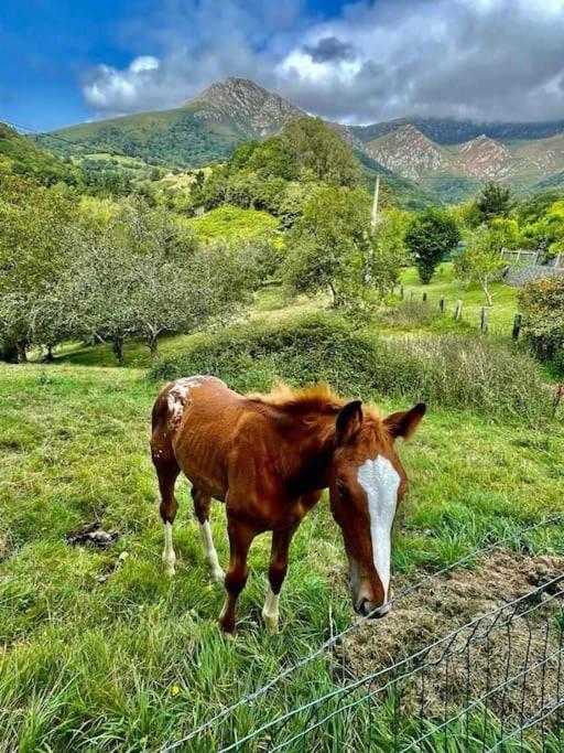 La Coqueta Del Sueve Villa Arriondas Bagian luar foto