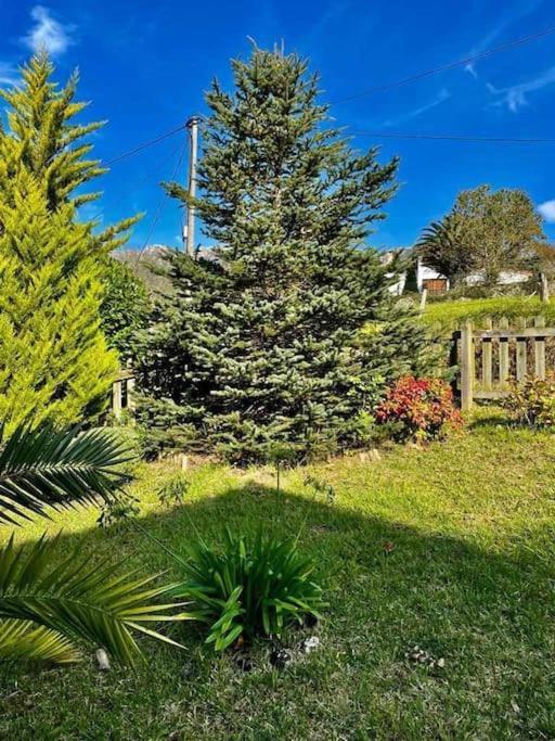 La Coqueta Del Sueve Villa Arriondas Bagian luar foto