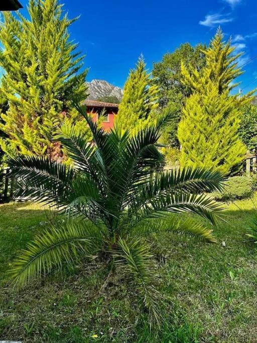 La Coqueta Del Sueve Villa Arriondas Bagian luar foto