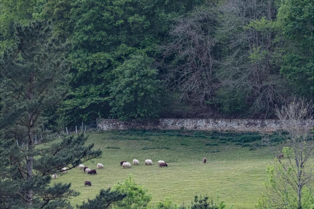 La Coqueta Del Sueve Villa Arriondas Bagian luar foto