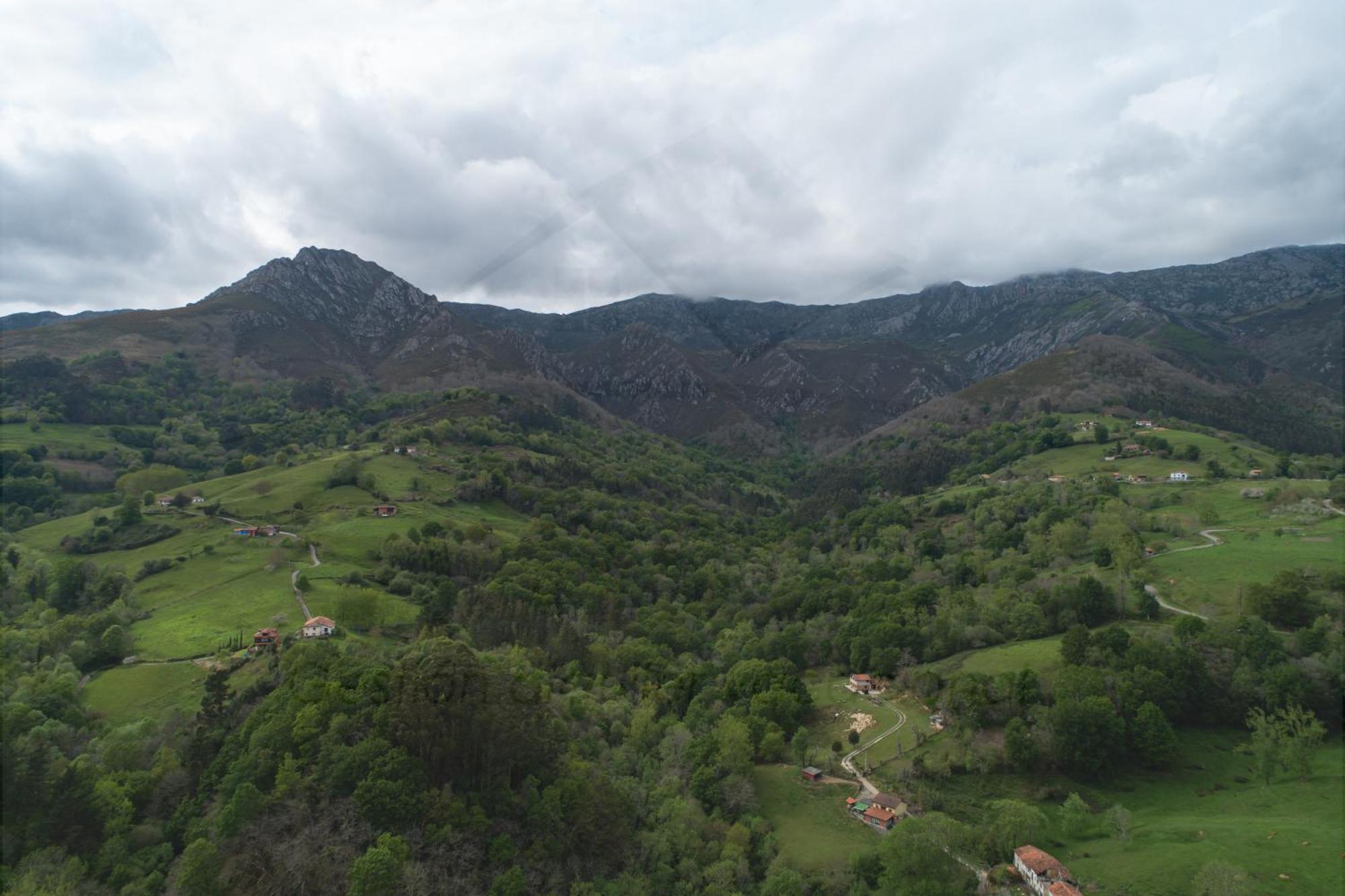 La Coqueta Del Sueve Villa Arriondas Bagian luar foto