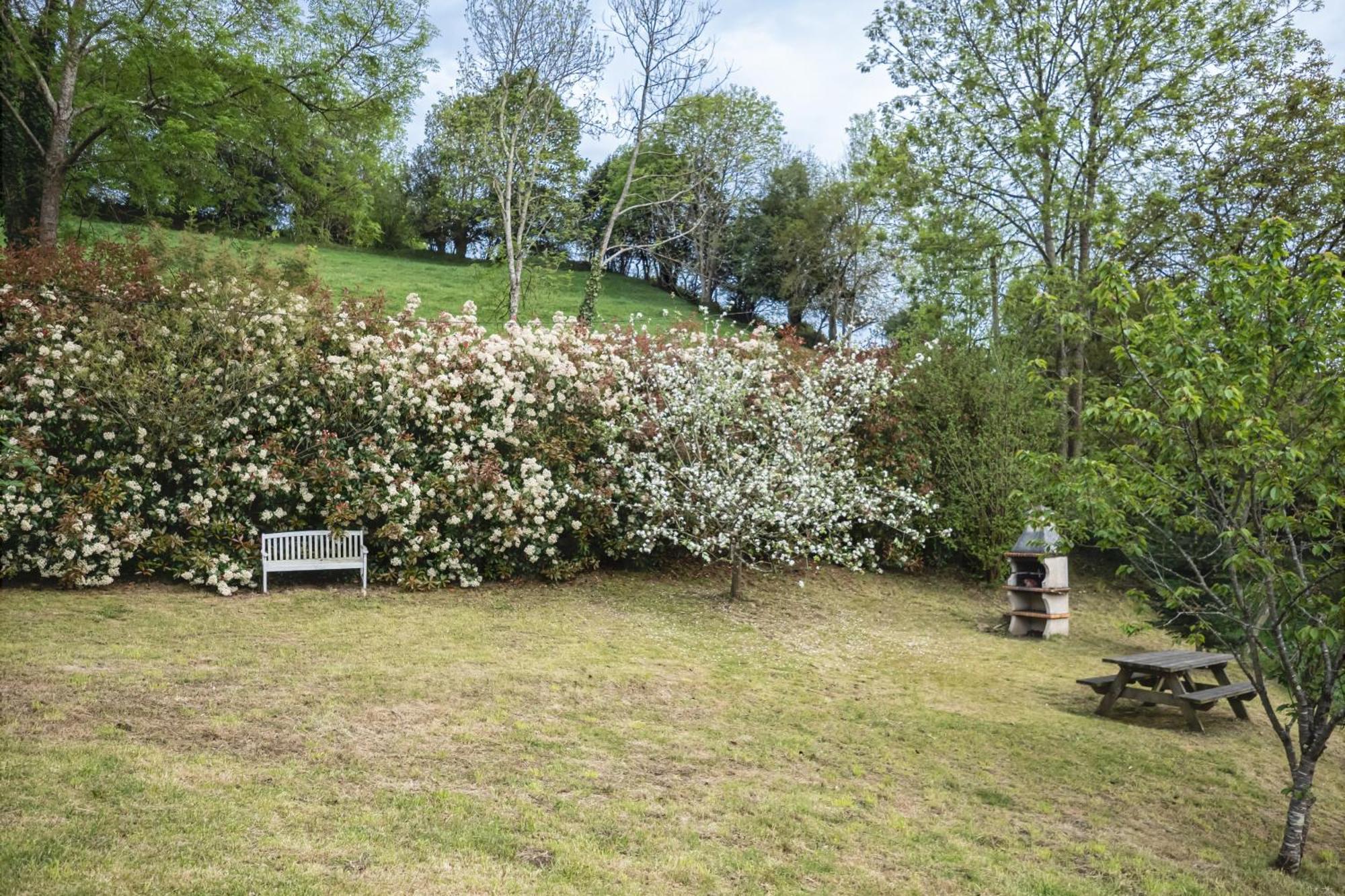 La Coqueta Del Sueve Villa Arriondas Bagian luar foto